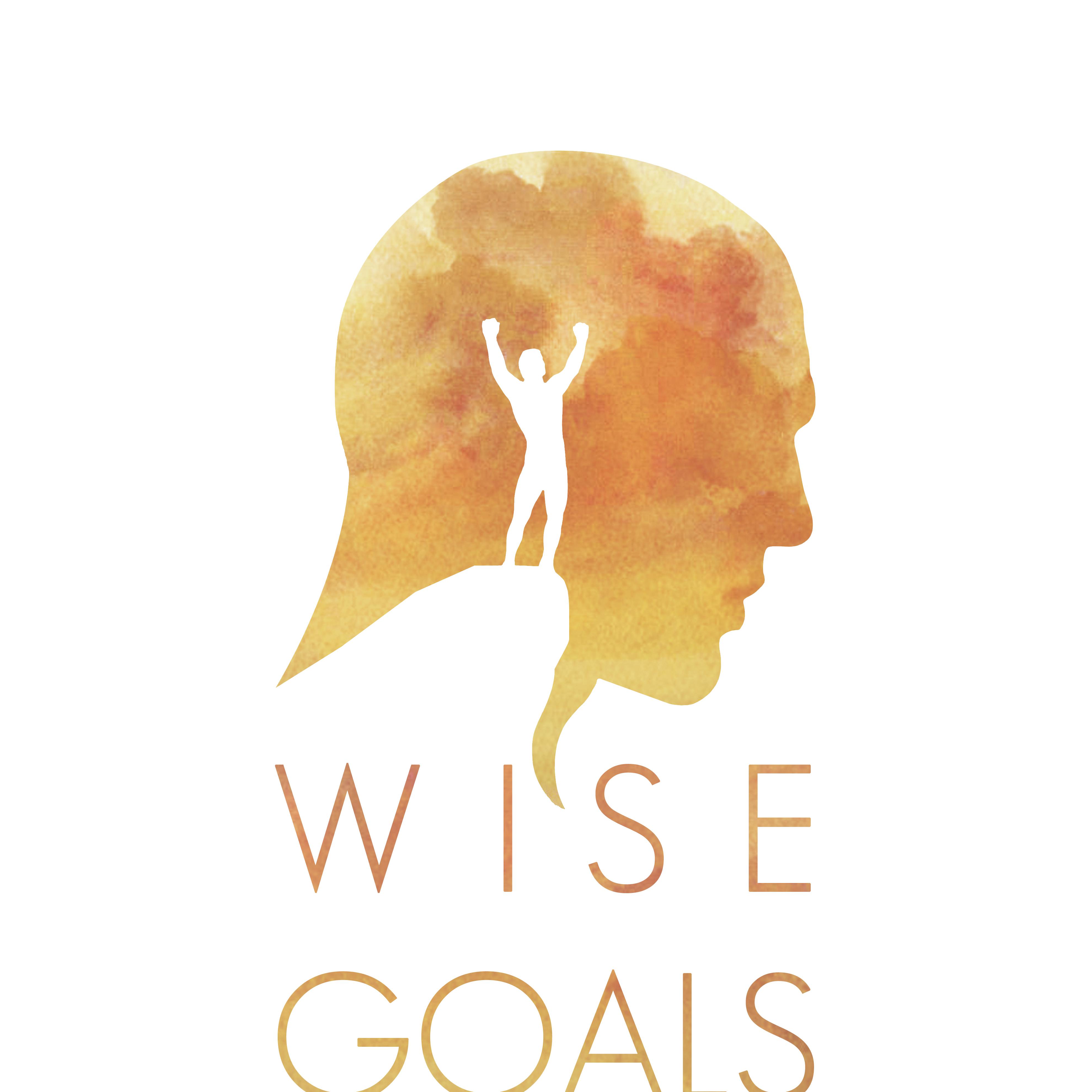 A selection of testimonials for Wise Goals Coaching. A handful of experiences from a variety of clients who received coaching