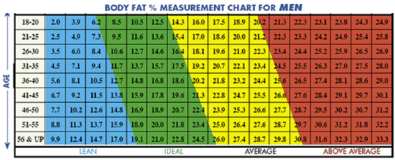 Men's body fat % chart