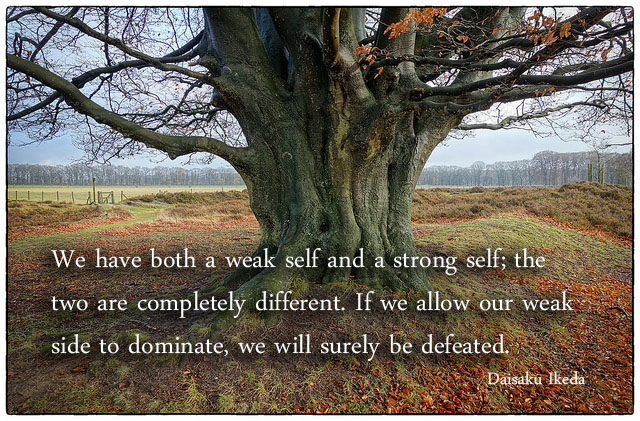 Daisaku Ikeda quote about the strong self