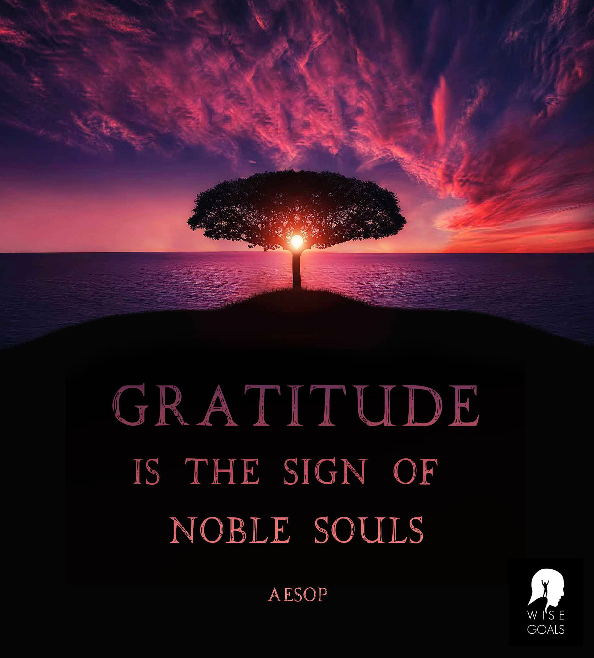 Aesop - Gratitude is the sign of noble souls quote