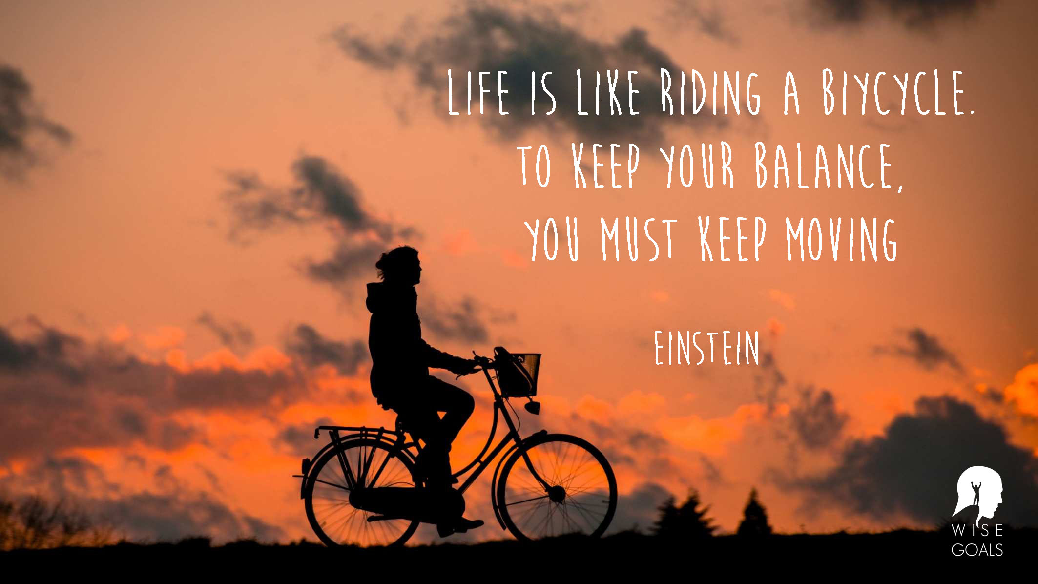bike_einstein_balance.jpg