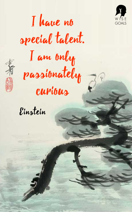 Einstein - passionately curious quote