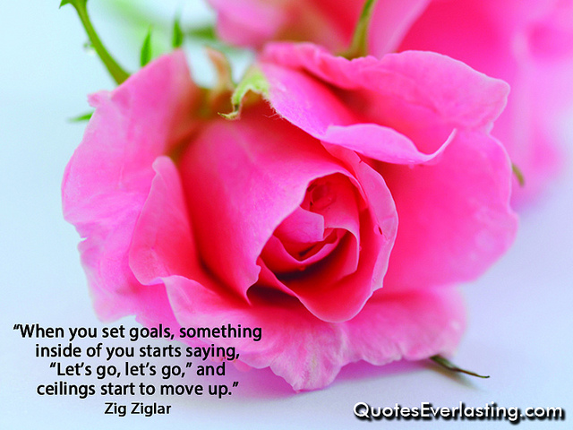 Ziglar - when you set goals something inside of you starts saying lets go lets go lets go and ceilings start to move up quote